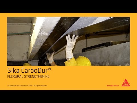 Sika® CarboDur® S · 1 m