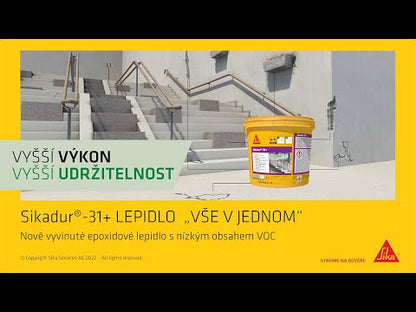 Sika Sikadur®-31+